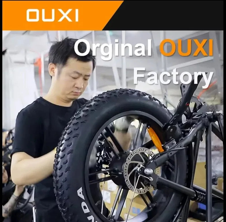 48V 1000W Electric Folding Bike Full Suspension