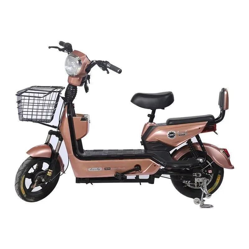 Two Person Electric Bike For Adults