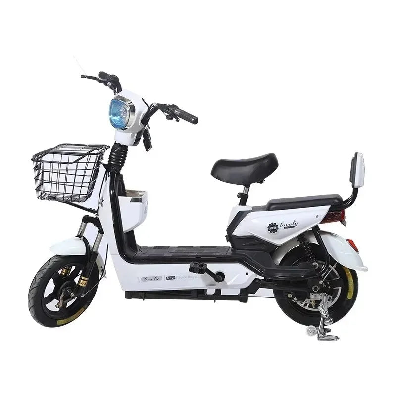 Two Person Electric Bike For Adults