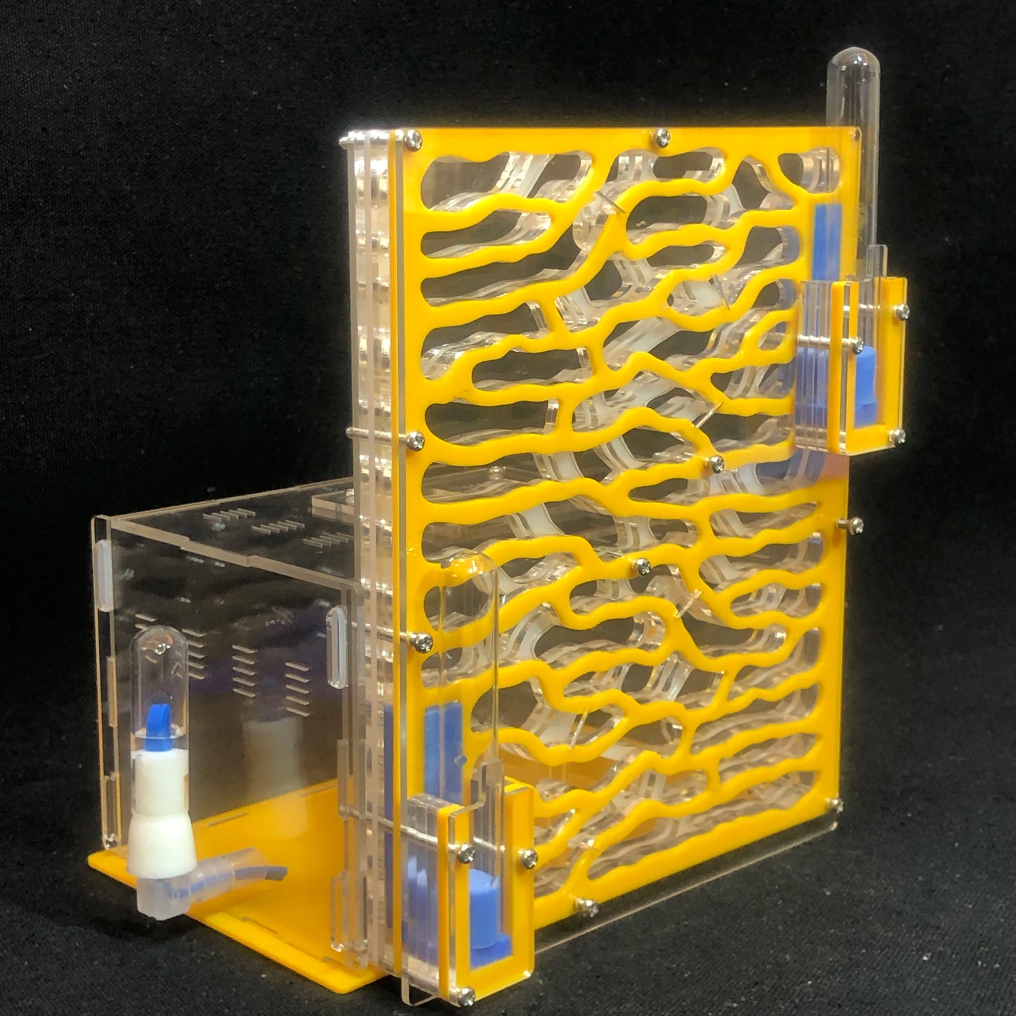 DIY Large Acrylic Ant Farm with Feeding Area