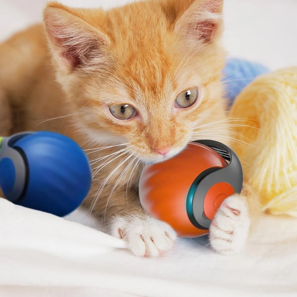 Smart Interactive Speedy Tail 2.0 Cat Toy