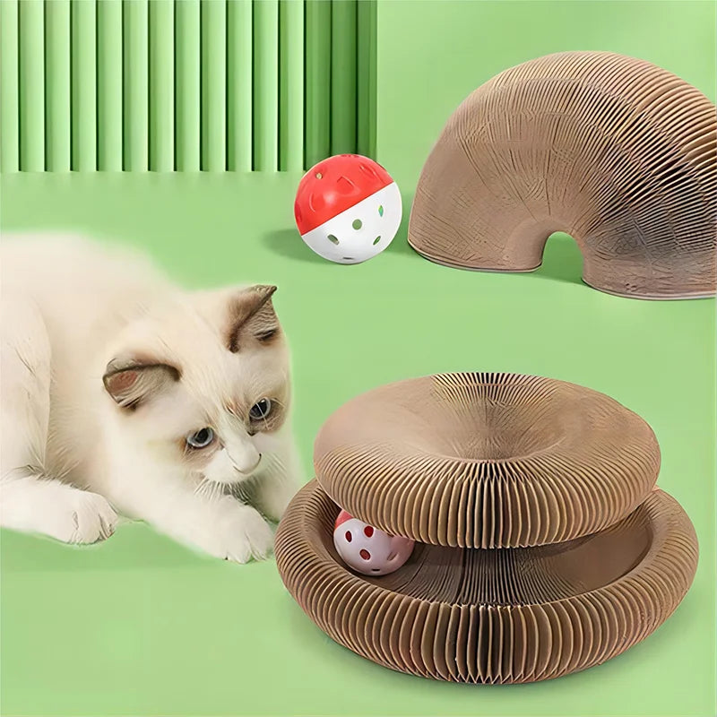 Foldable Grinding Claw Sleeping Bed