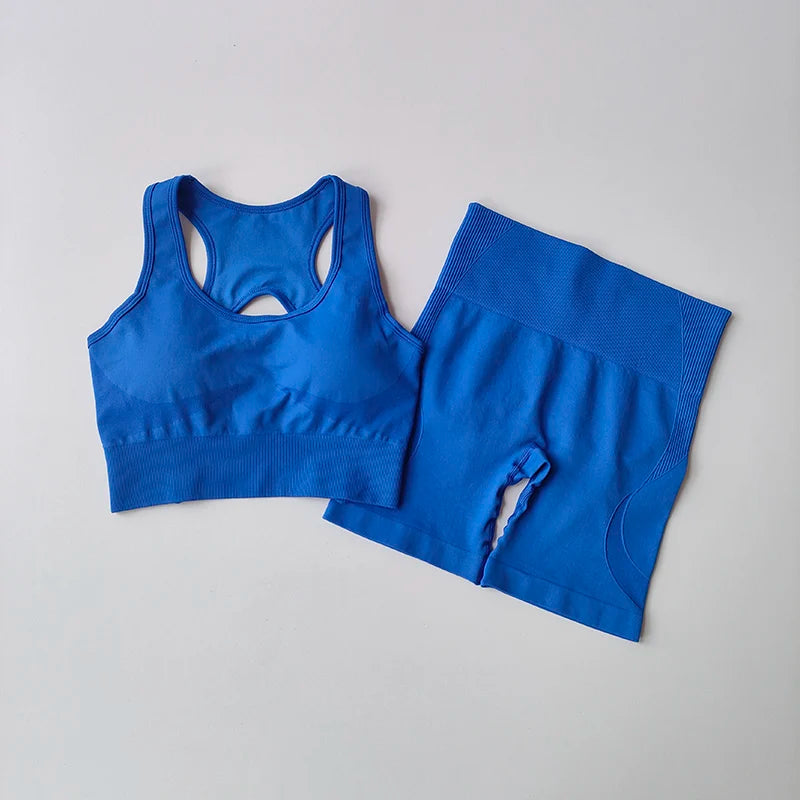 2 PCS Seamless Yoga Set Sexy