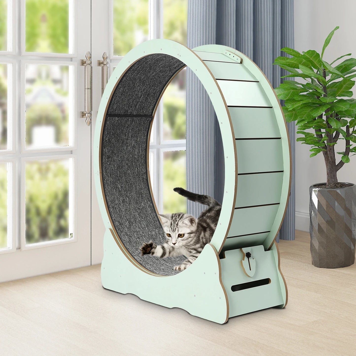 Cat Exercise Wheel for Indoor Cats for 16.53-22.05 Lbs