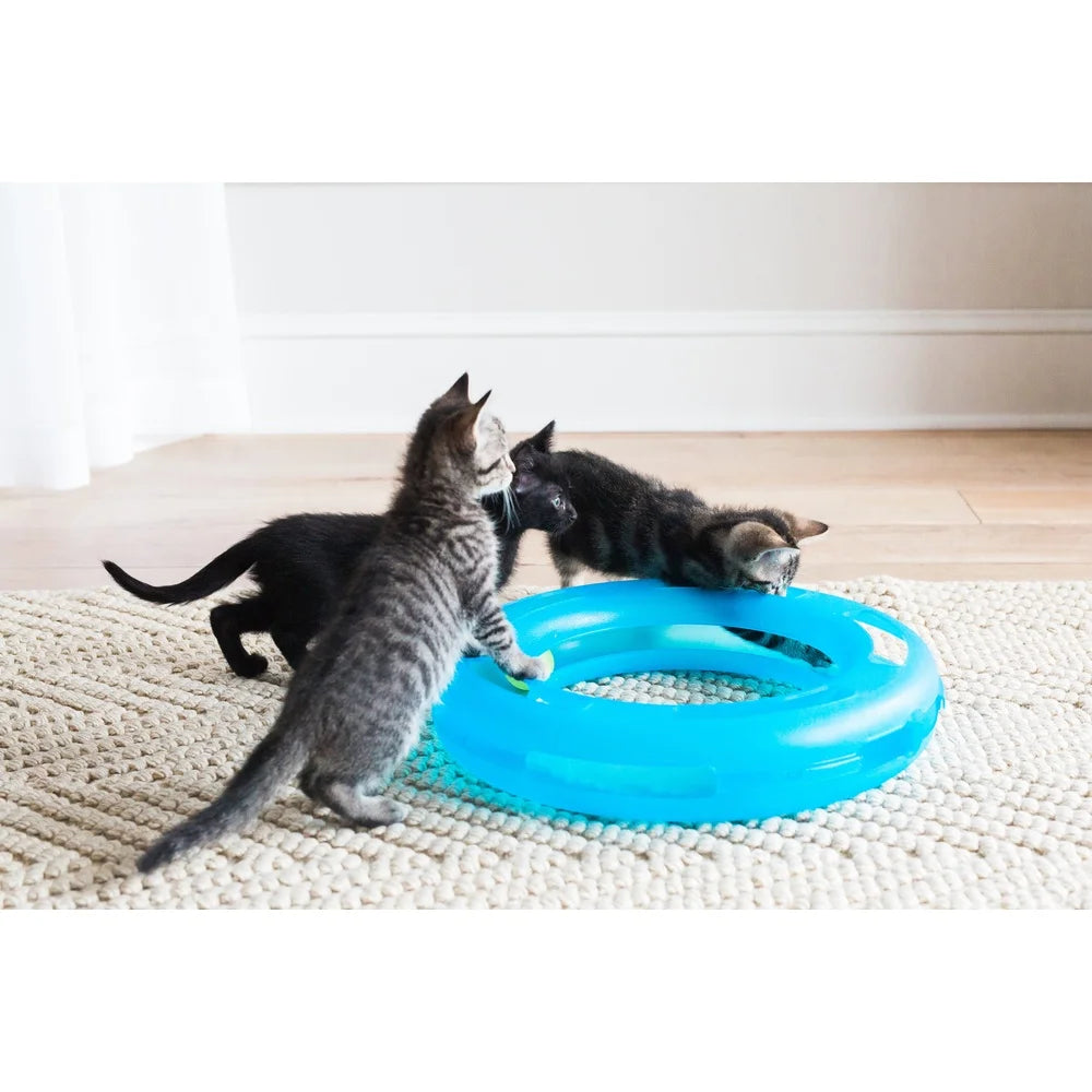 Crazy Circle Lightweight 360 Degree Cat Game