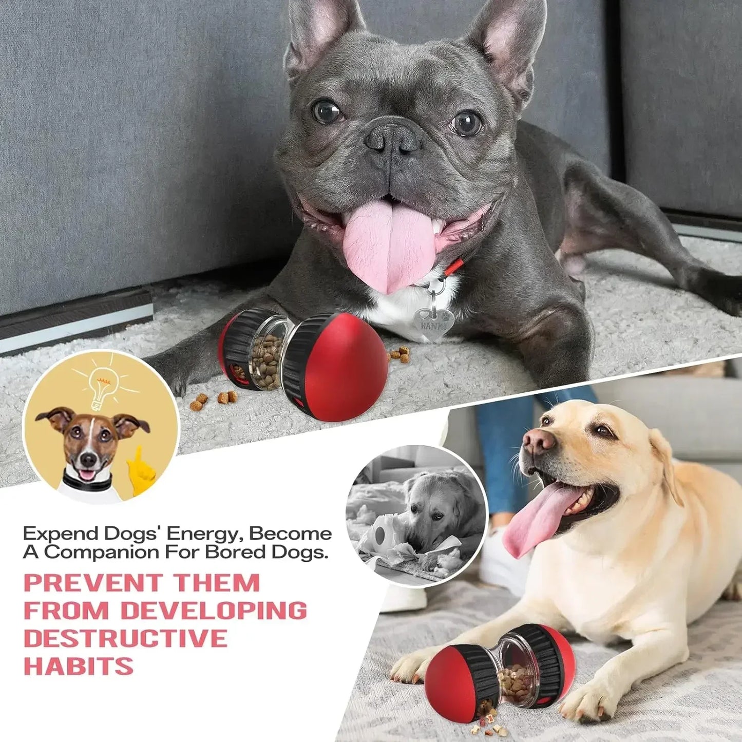 Interactive Dog Rolling Ball & Treat Dispenser
