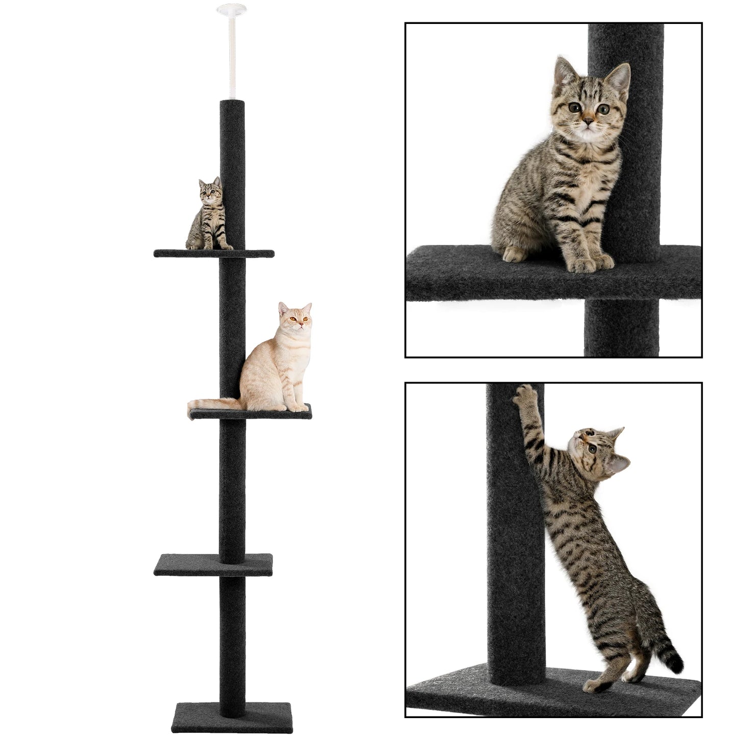Adjustable Height Cat Tree Floor to Ceiling Tower