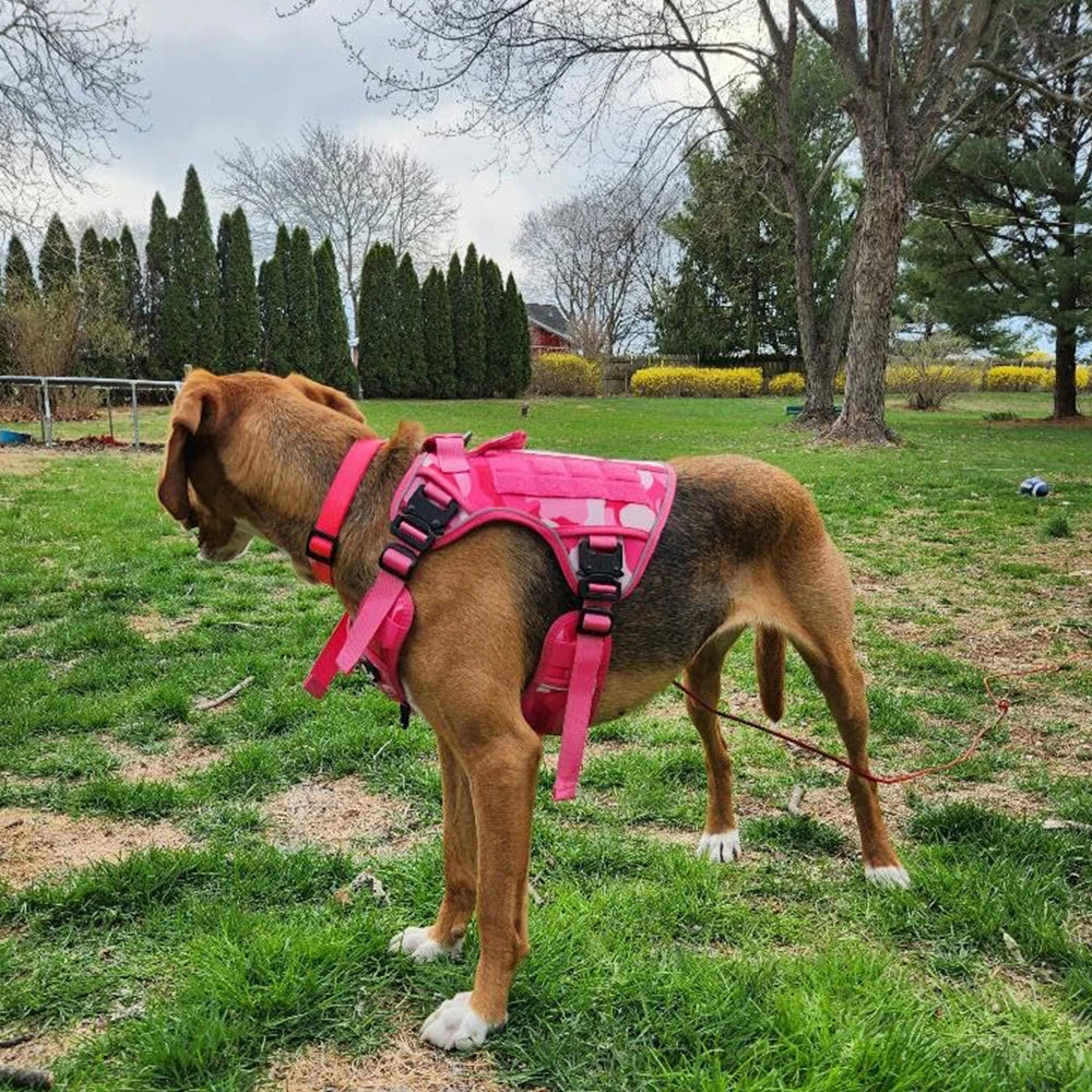 Pink Reflective Dog Harness with 4 Metal Buckles