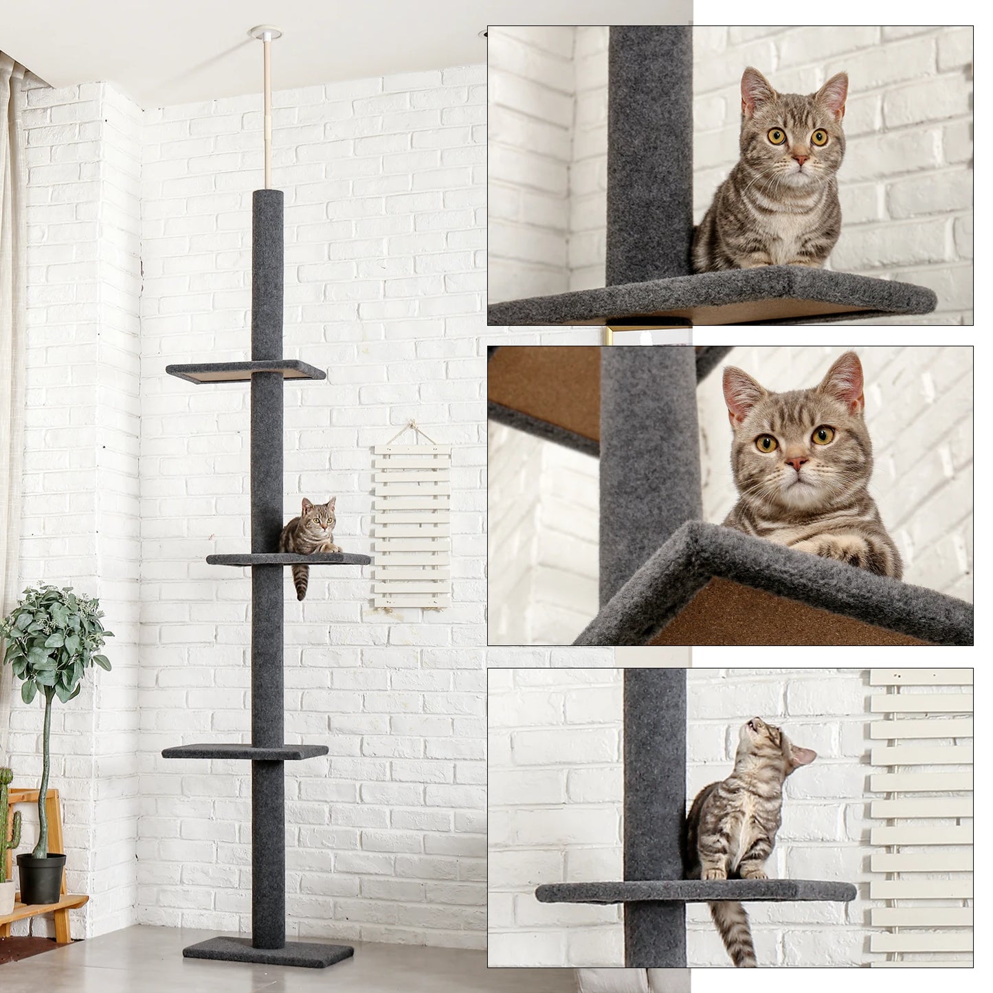 Adjustable Height Cat Tree Floor to Ceiling Tower