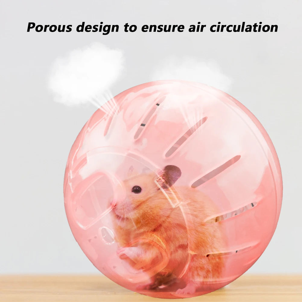 Pet Hamster Exercise Play Ball