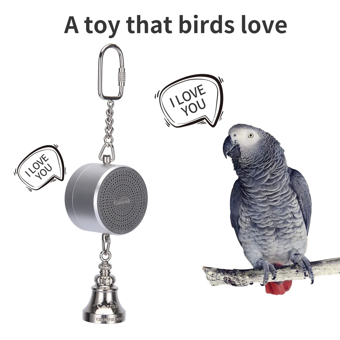 Parrot Toys to Teach Train Bird Talking