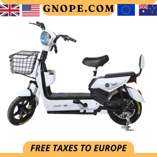 Two Person Electric Bike For Adults