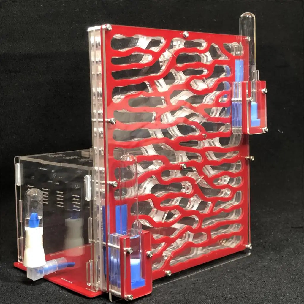 DIY Large Acrylic Ant Farm with Feeding Area