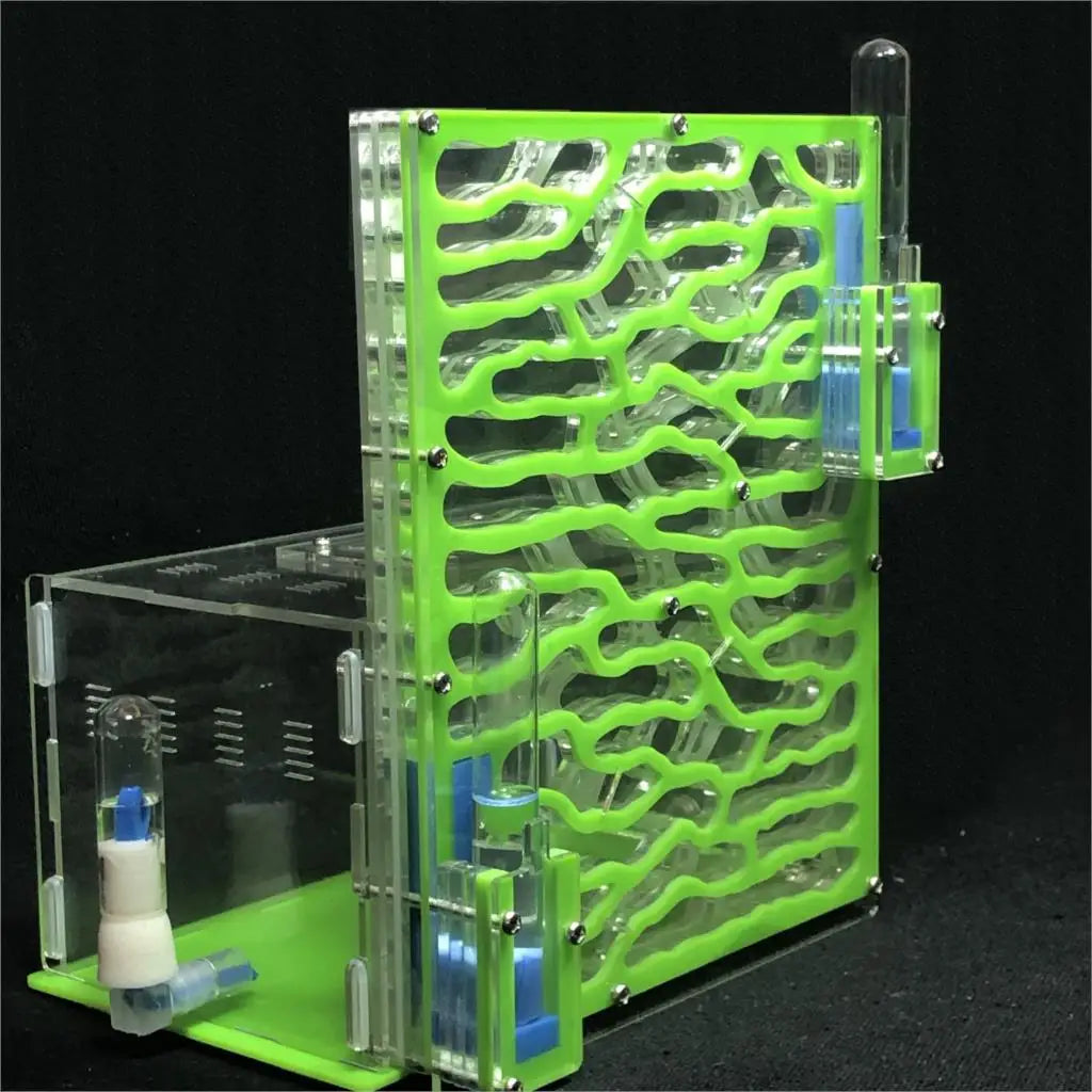 DIY Large Acrylic Ant Farm with Feeding Area