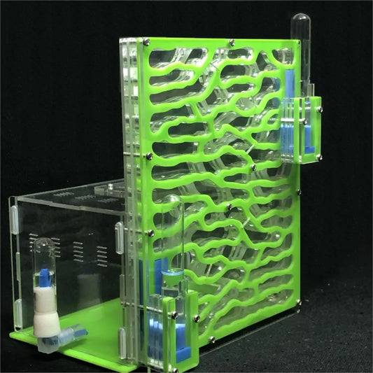 DIY Large Acrylic Ant Farm with Feeding Area