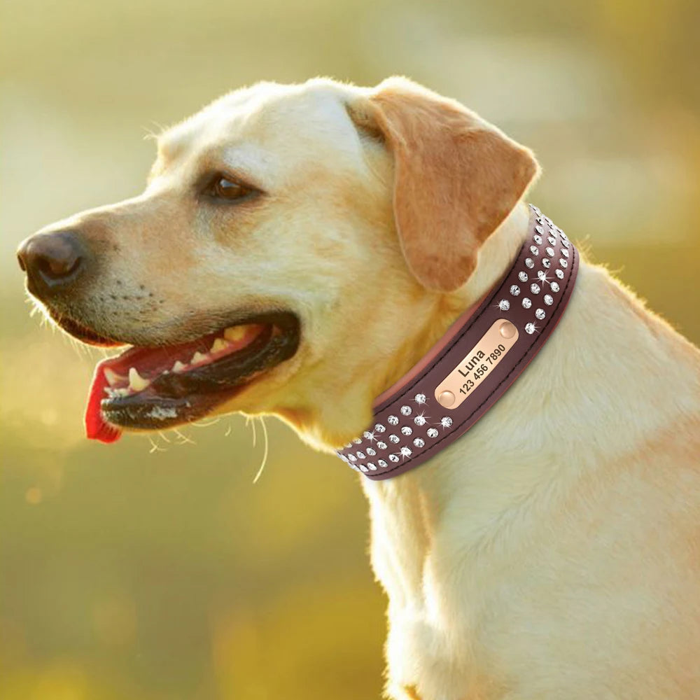 Personalized Dog Collar For Medium Large Dogs