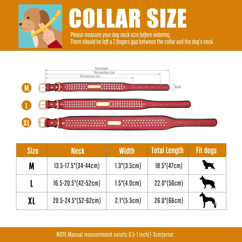 Personalized Dog Collar For Medium Large Dogs