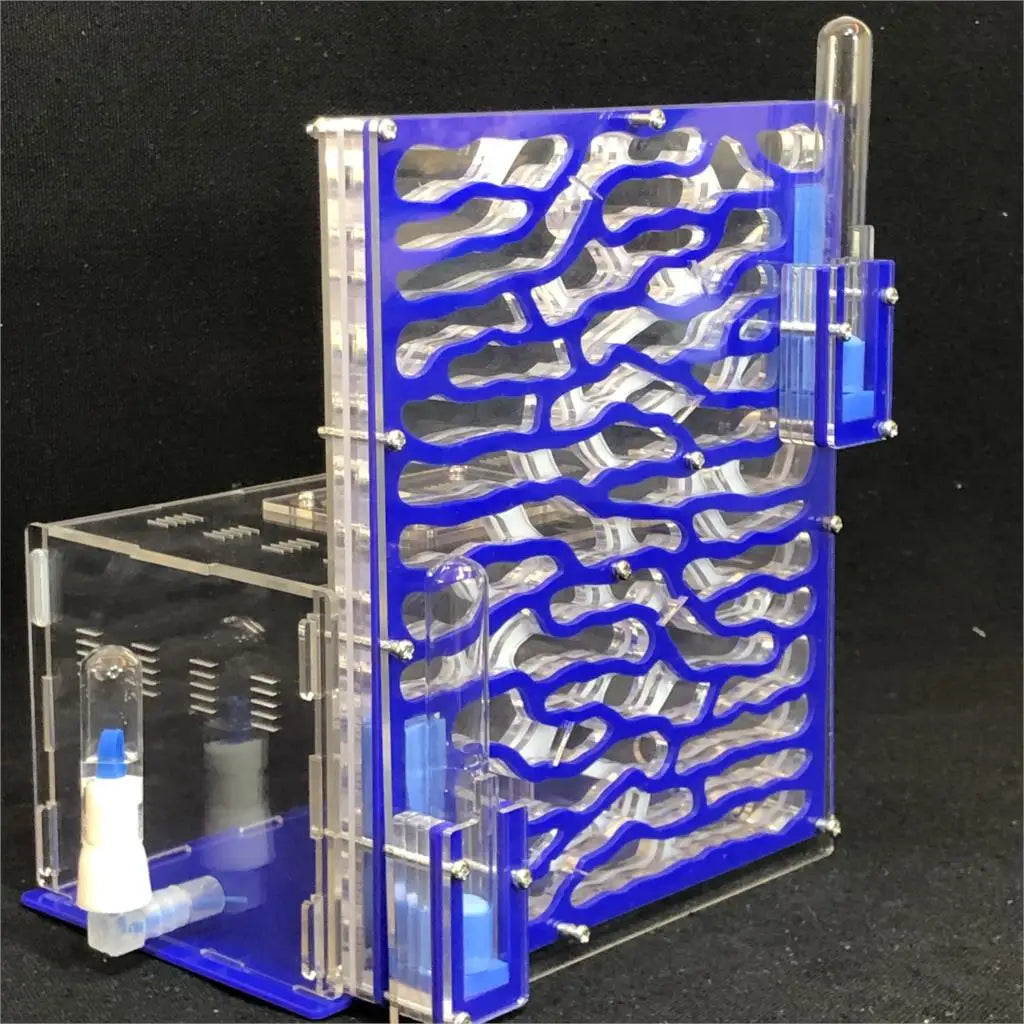 DIY Large Acrylic Ant Farm with Feeding Area