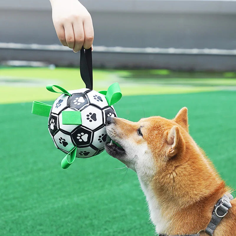 Interactive Pet Toys Dog Outdoor training Soccer Bite Chew Ball
