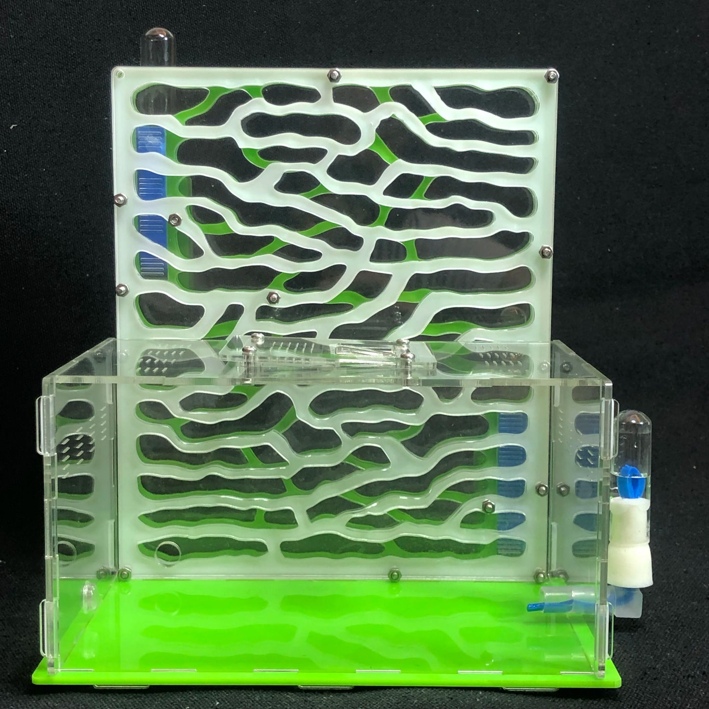 DIY Large Acrylic Ant Farm with Feeding Area