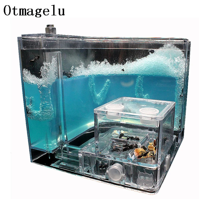 Ant House Castle Transparent Insect Terrarium