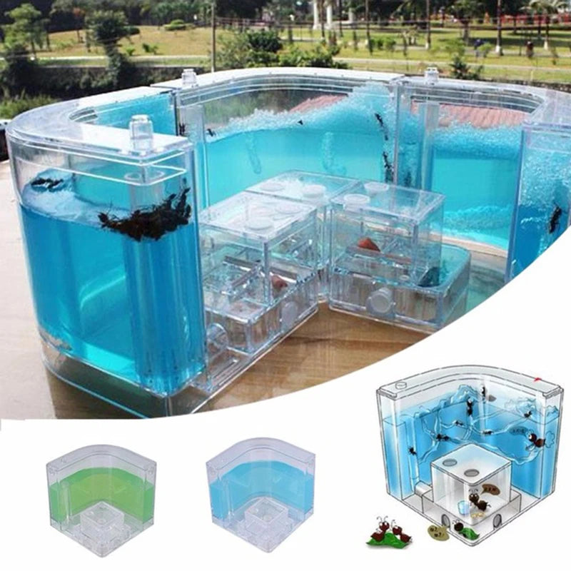 Ant House Castle Transparent Insect Terrarium