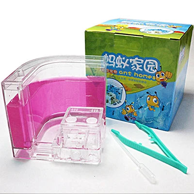 Ant House Castle Transparent Insect Terrarium