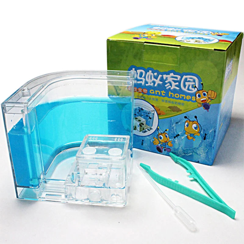 Ant House Castle Transparent Insect Terrarium