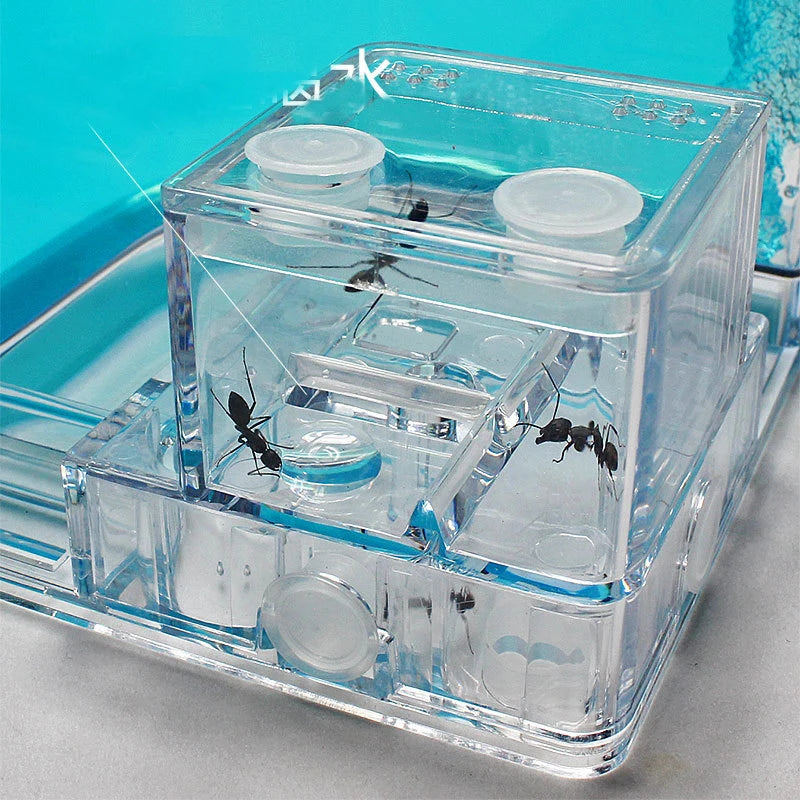 Ant House Castle Transparent Insect Terrarium