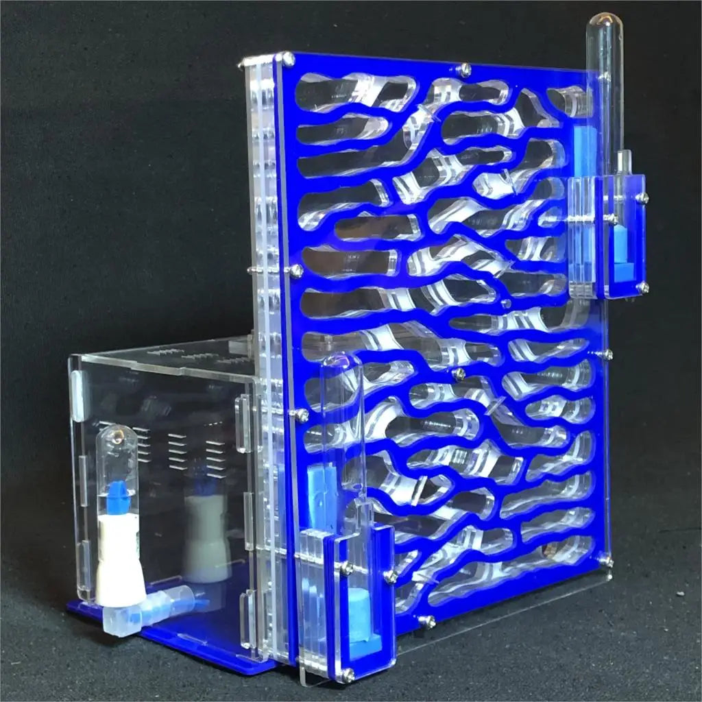 DIY Large Acrylic Ant Farm with Feeding Area