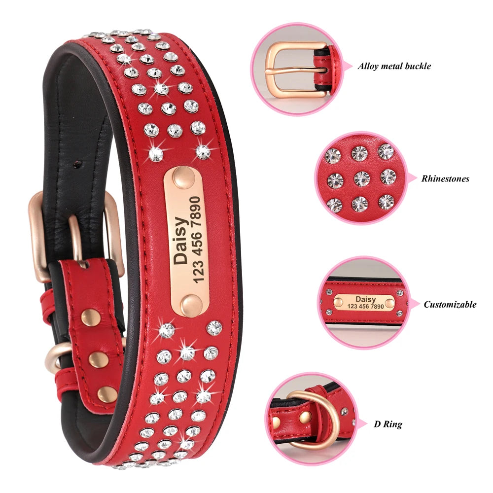 Personalized Dog Collar For Medium Large Dogs