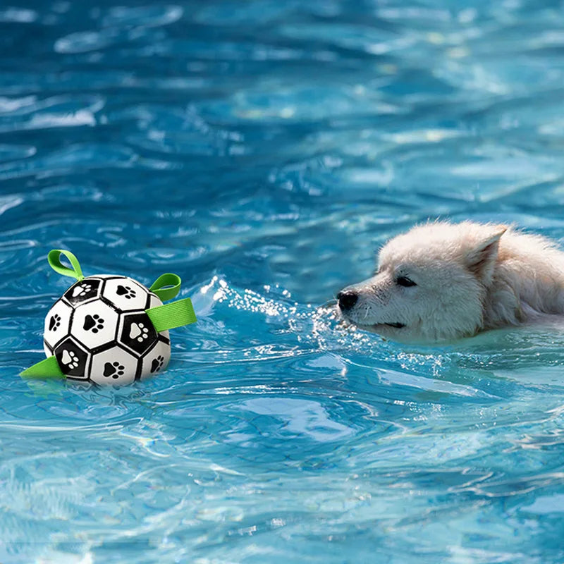 Interactive Pet Toys Dog Outdoor training Soccer Bite Chew Ball