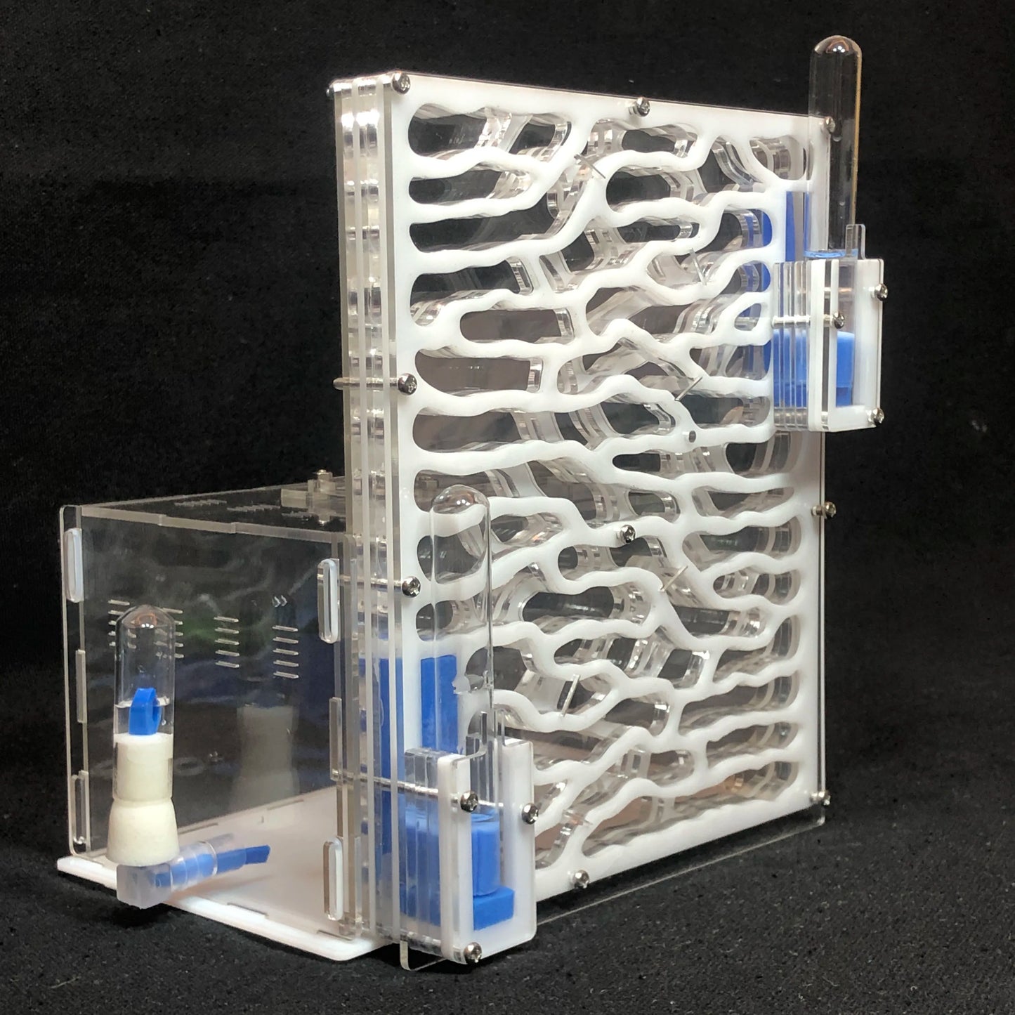 DIY Large Acrylic Ant Farm with Feeding Area