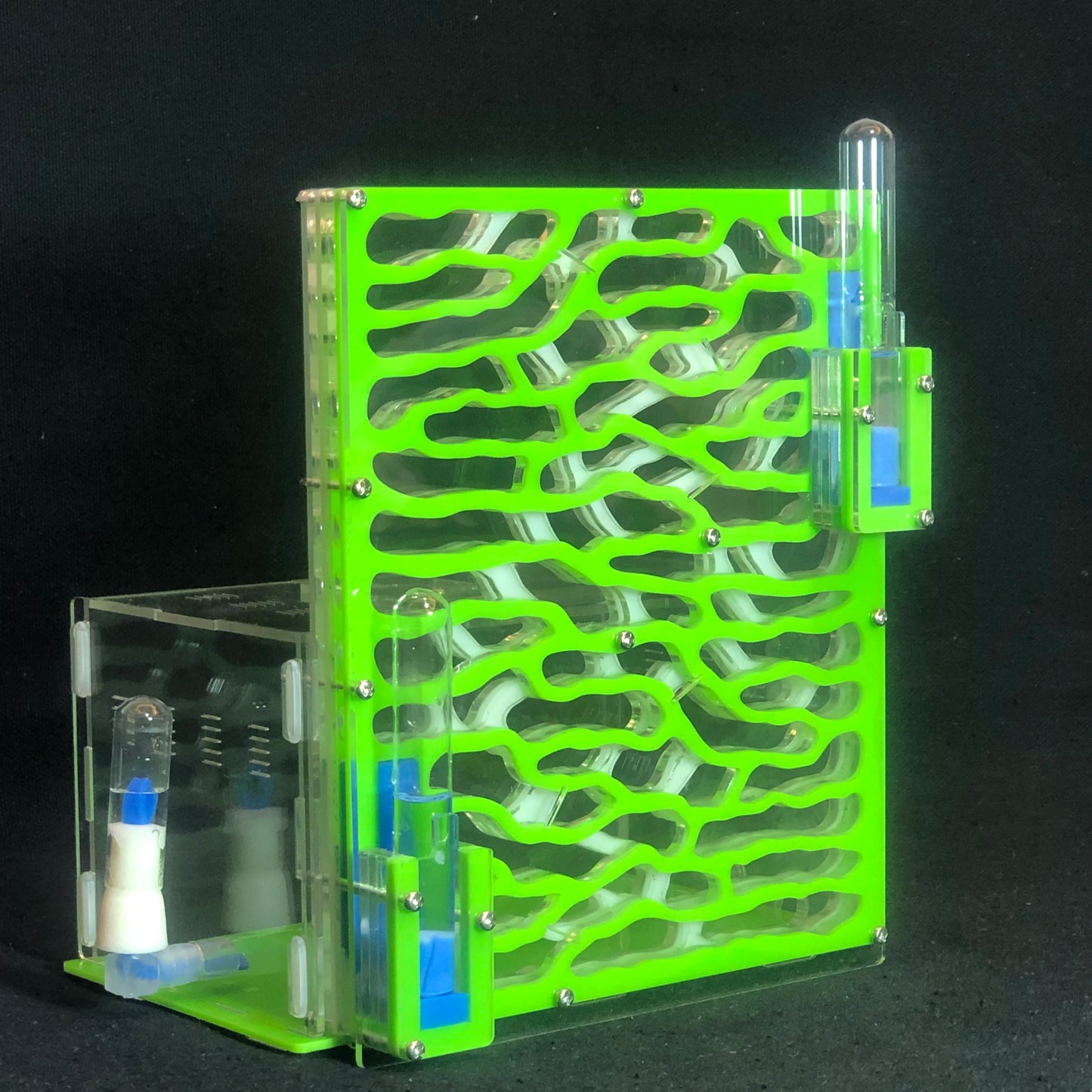 DIY Large Acrylic Ant Farm with Feeding Area