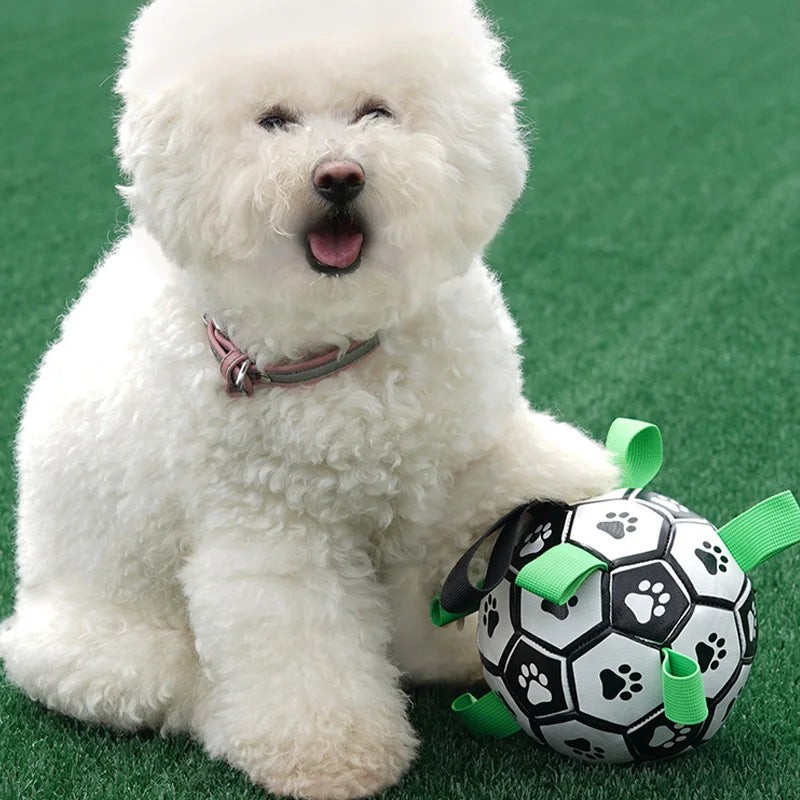 Interactive Pet Toys Dog Outdoor training Soccer Bite Chew Ball