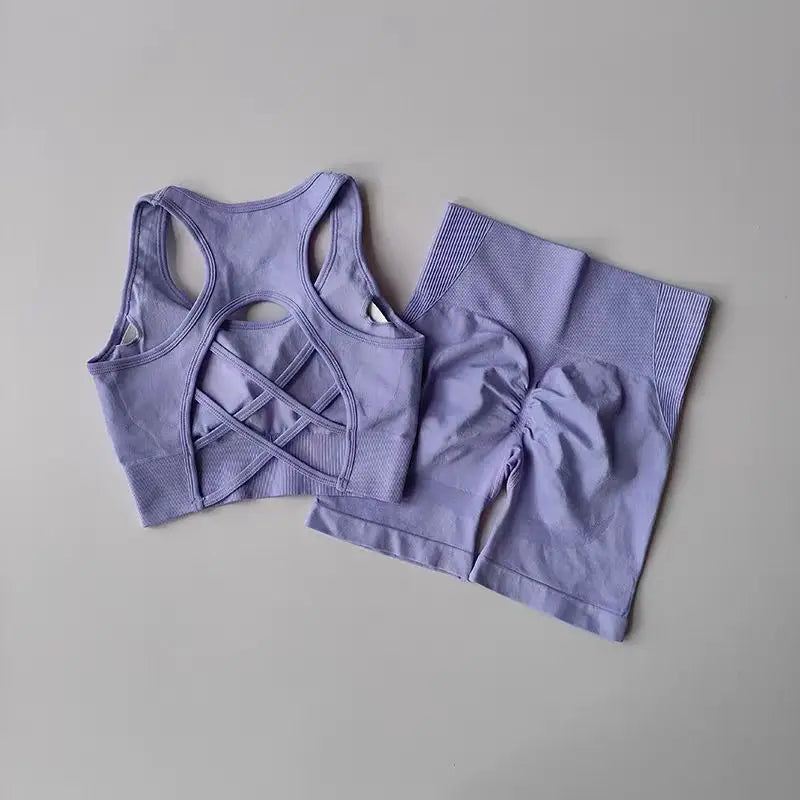 2 PCS Seamless Yoga Set Sexy