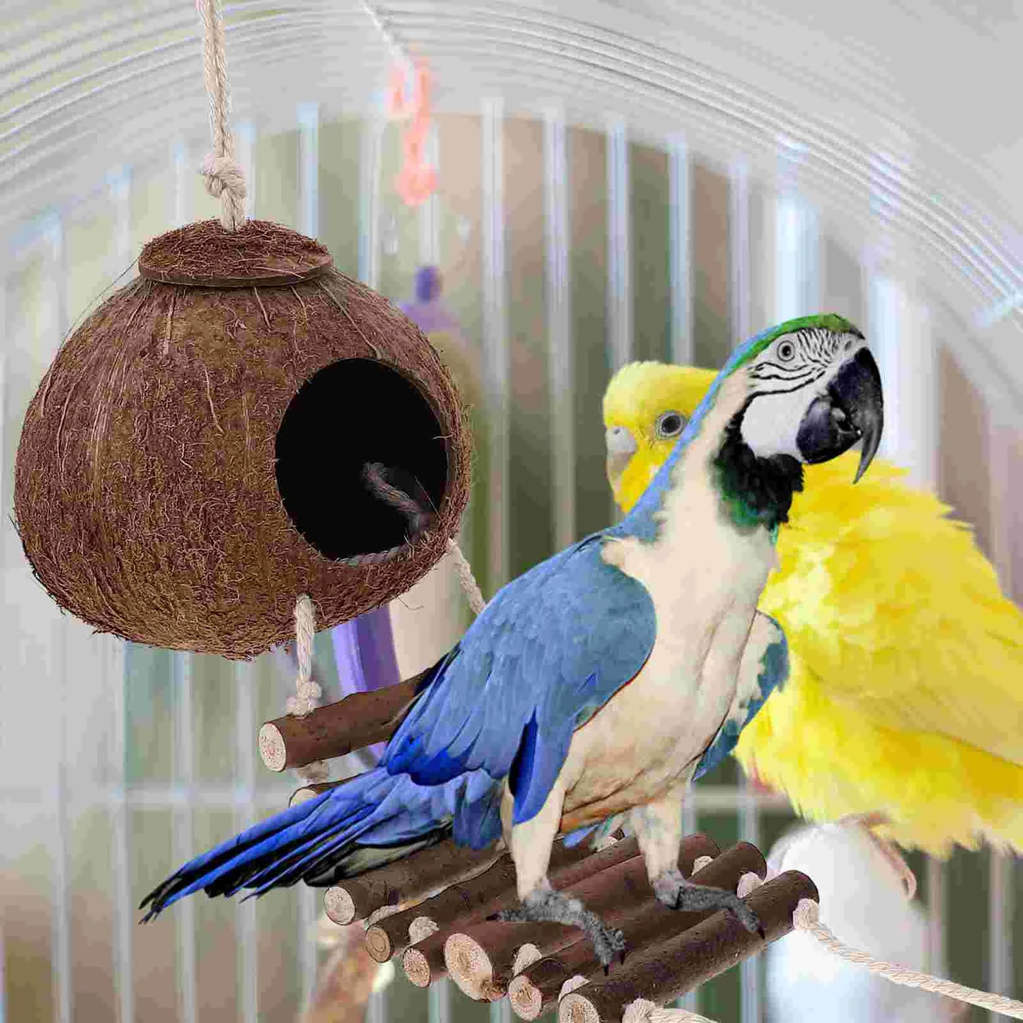 Hermit Cave Habitat with Ladder Hanging Ring Coconut Shell