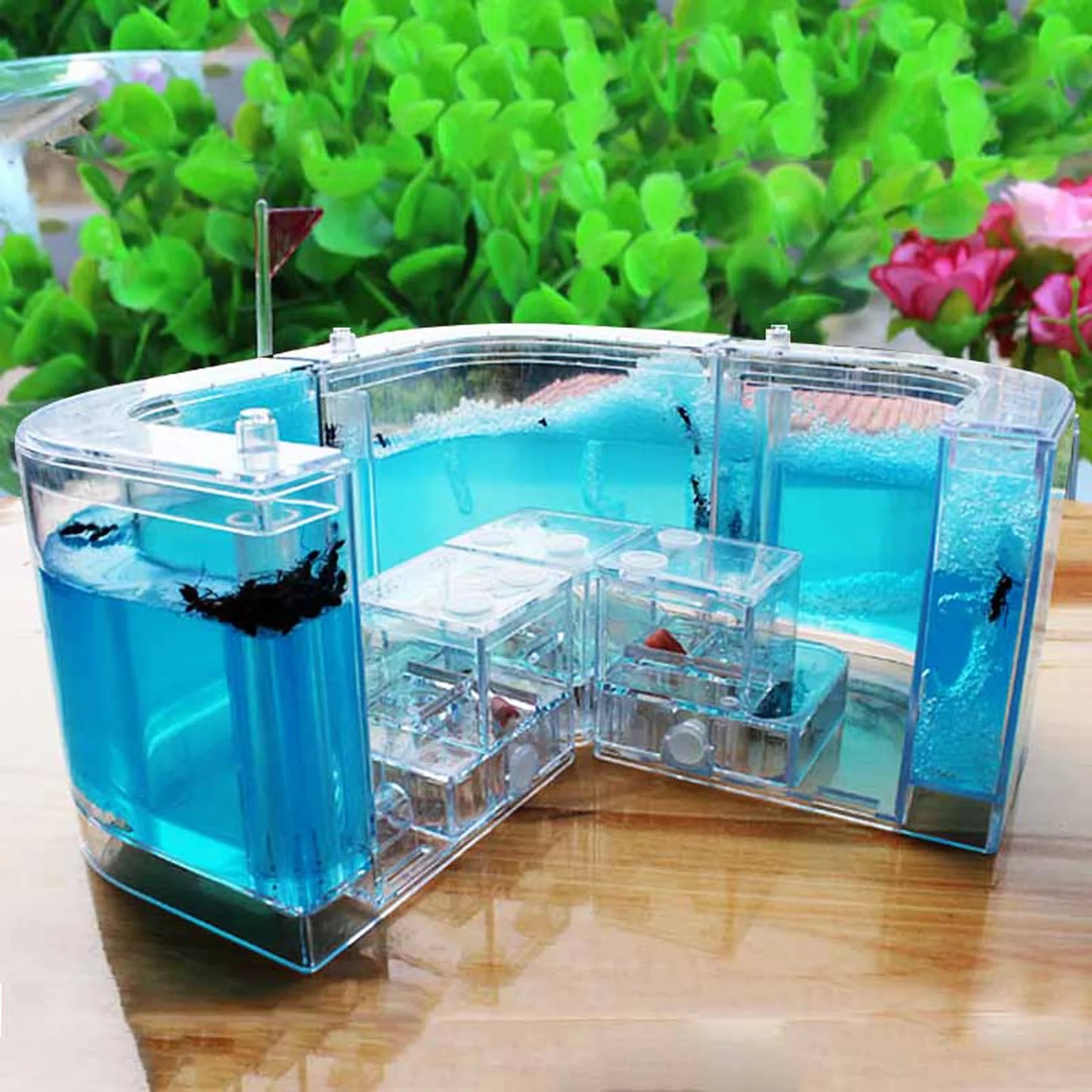 3D Ant Farm Maze Educational & Learning Kit