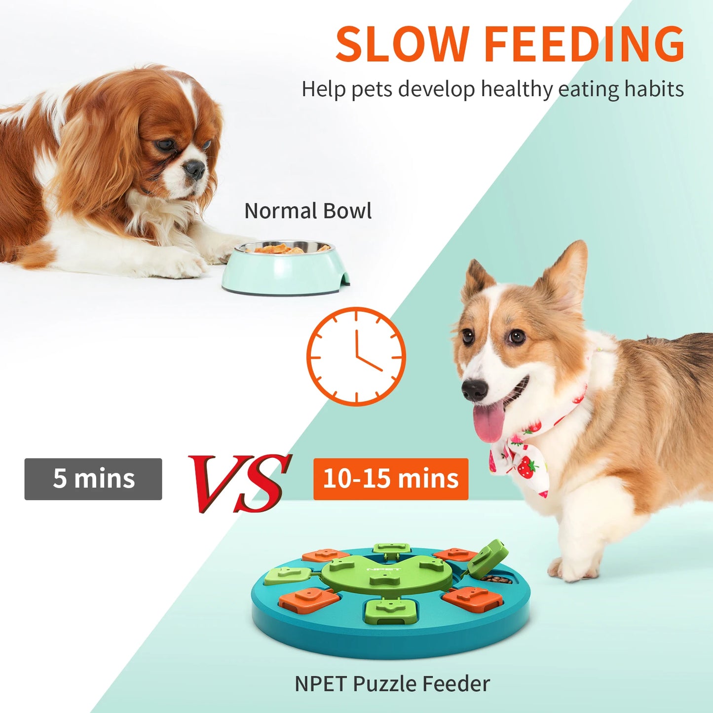 NPET Dog Puzzle Slow Feeder
