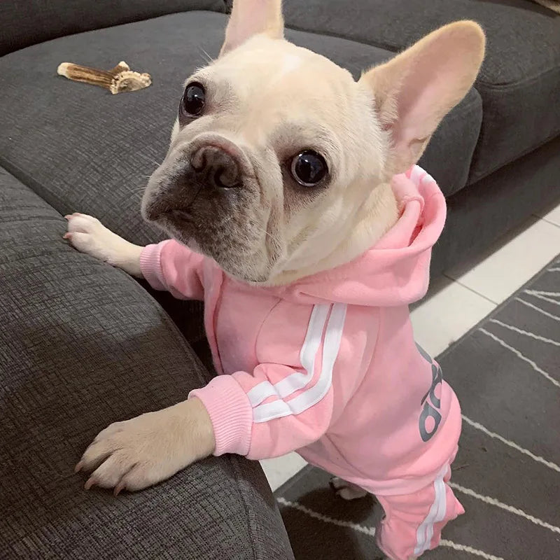 Jumpsuit for Small Medium Dogs