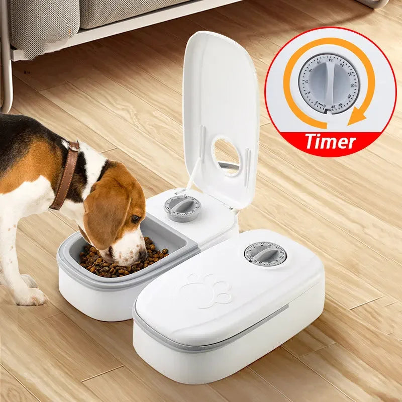 Pet Automatic Timing Feeder Dry&Wet Food Container