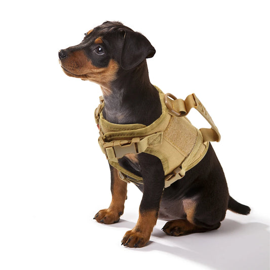 Tactical Harness Leash For Small Dogs