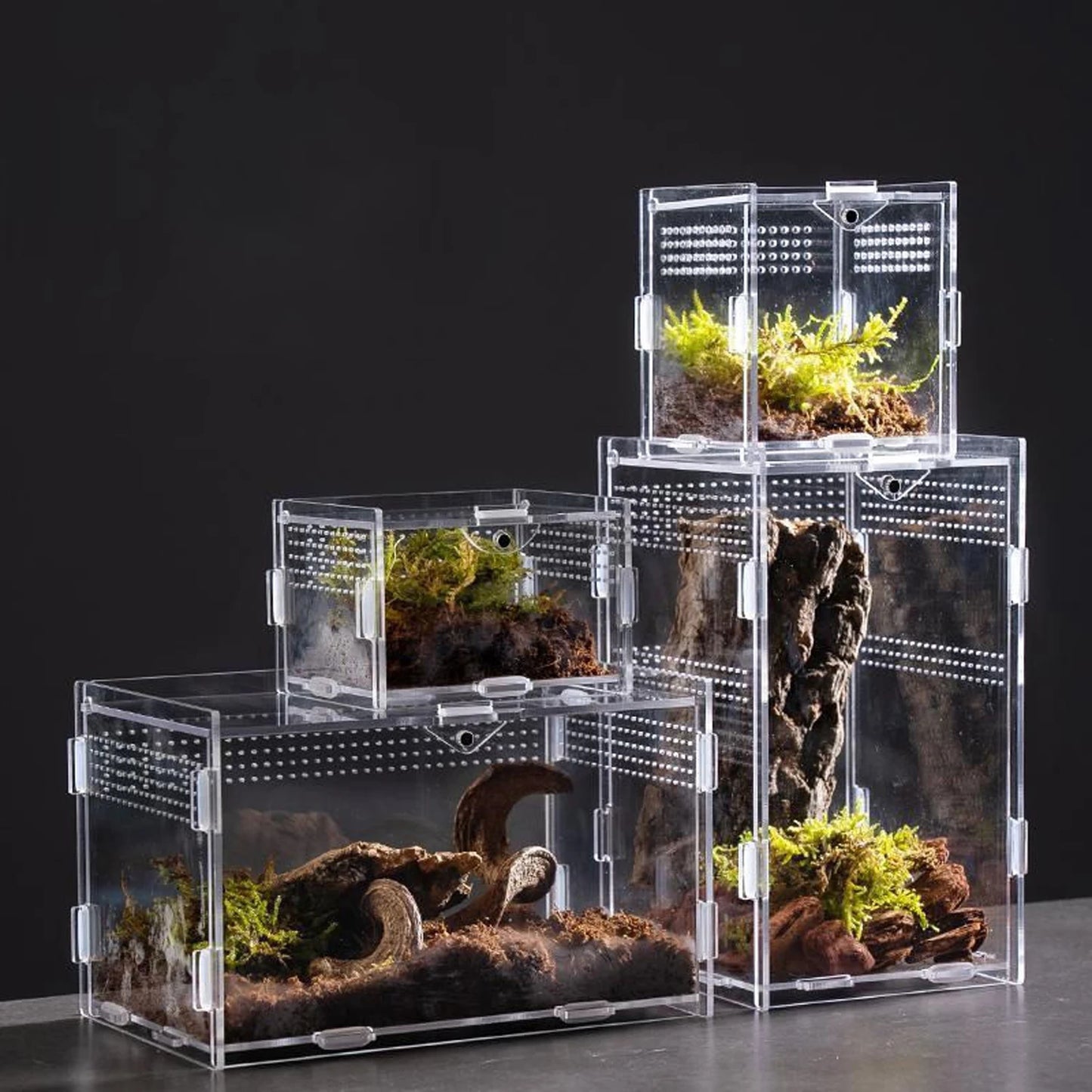 Acrylic Transparent Reptile Terrarium