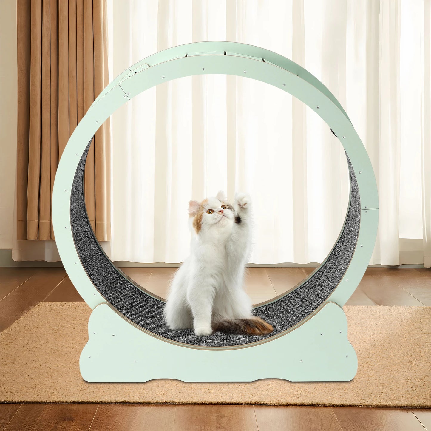 Cat Exercise Wheel for Indoor Cats for 16.53-22.05 Lbs