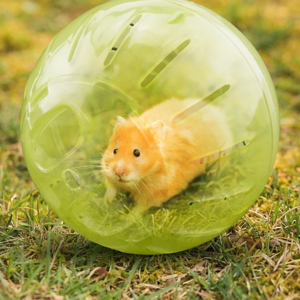Pet Hamster Exercise Play Ball