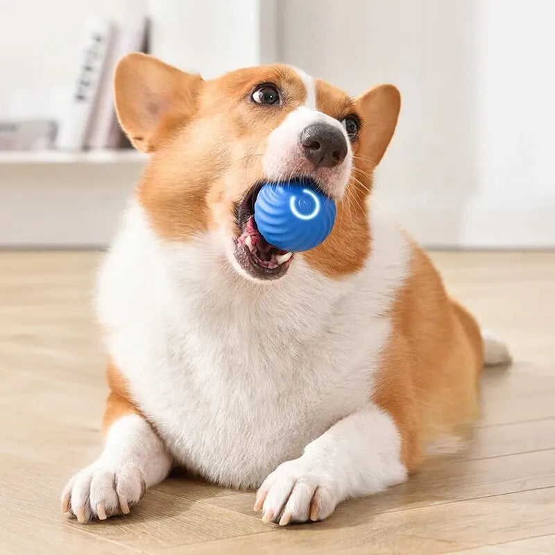 Dog Toy Intelligent Gravity Jump Ball Rechargeable Bite-Resistant