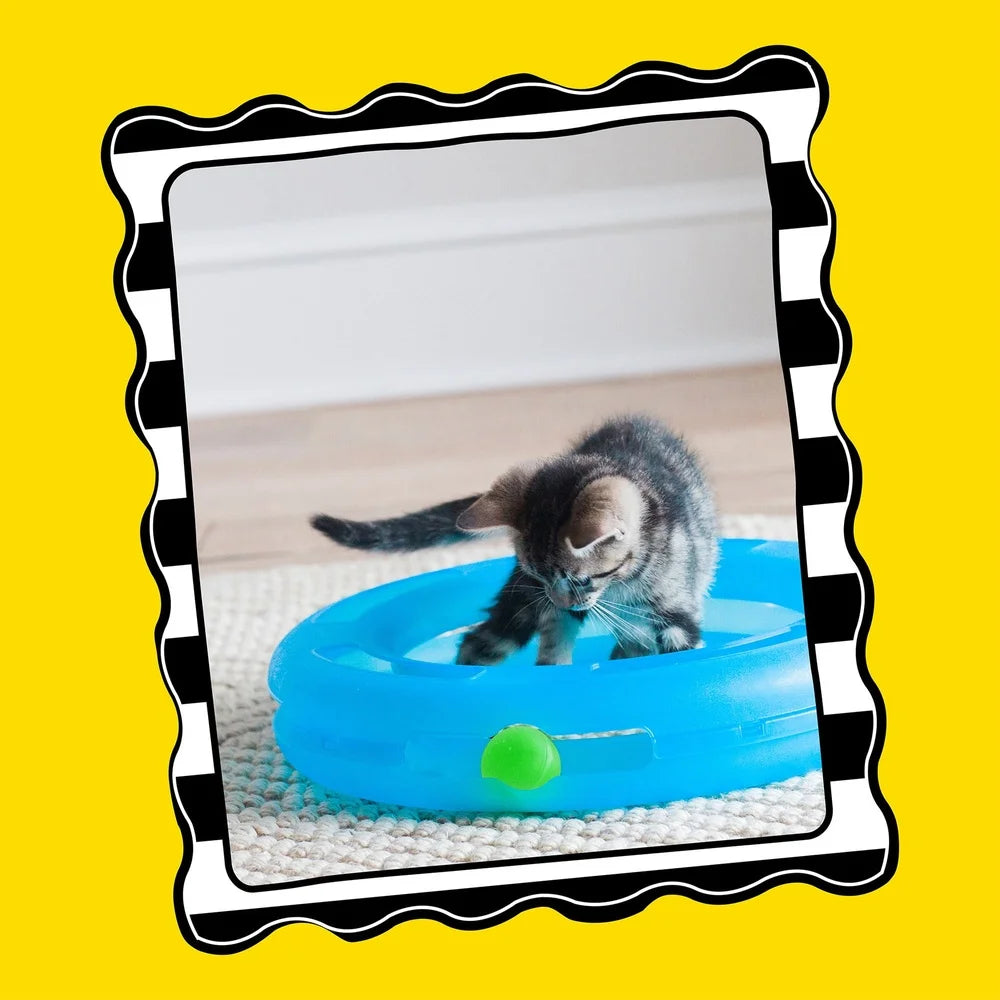 Crazy Circle Lightweight 360 Degree Cat Game