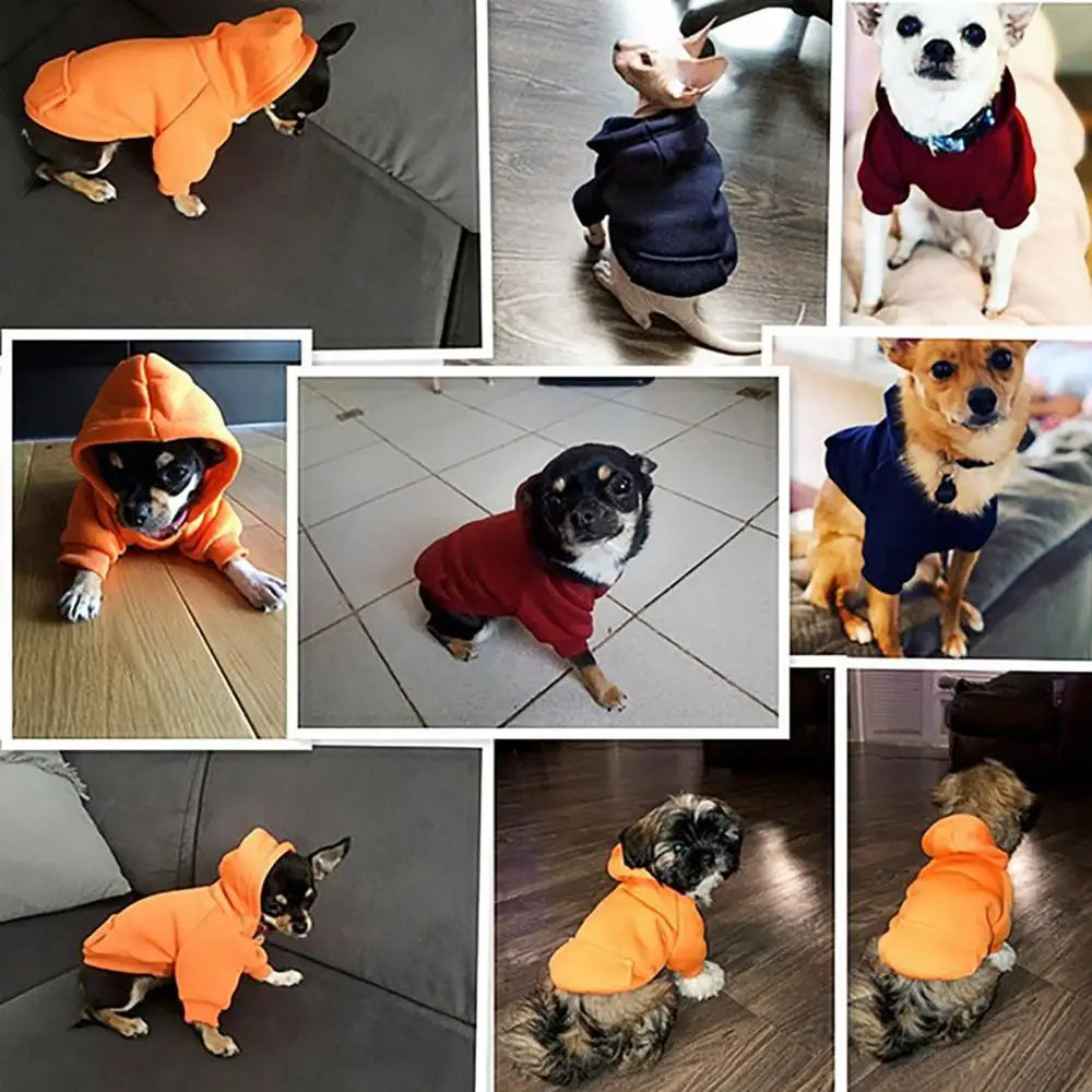 Dog Hoodies for Small and Medium Dogs