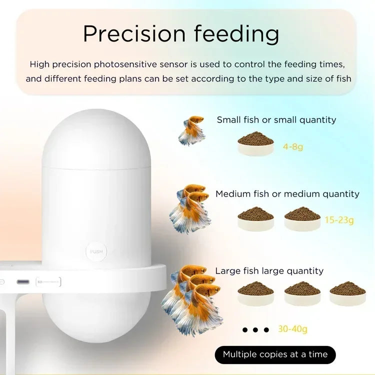 Automatic Fish Feeder With Camera
