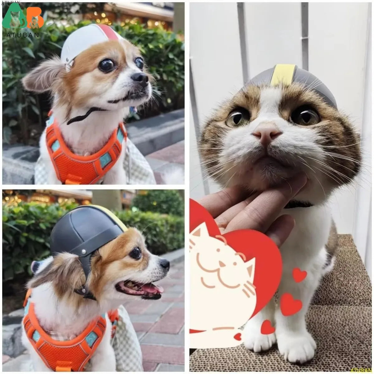 Safety Helmet with Ear Holes for Small Dogs